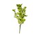 19H" Artistic Leaf Spray - Artificial Greenery in Choice of Vibrant Lime Green or Romantic Rose Pink-FG571931/FG571938